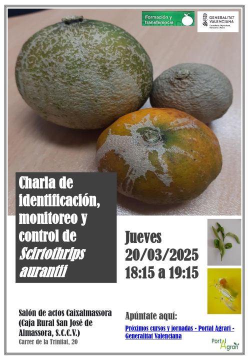  Charla de identificación, monitoreo y control de Scirtothrips aurantii